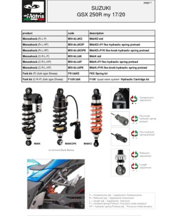 thumbnail of Suzuki GSX 250R 17-20 web
